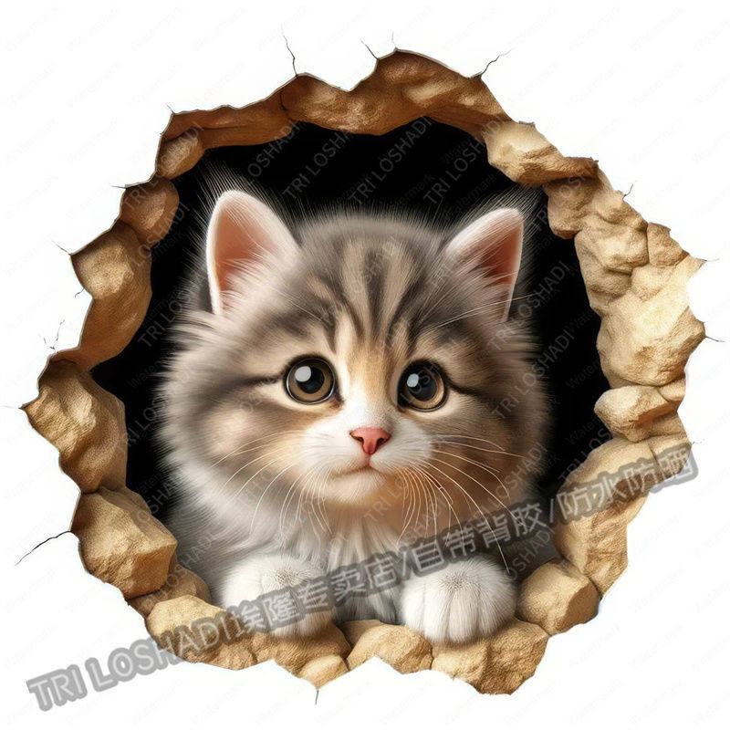 3D破洞视觉猫咪贴纸墙面门窗墙角装饰萌宠小猫贴画车身划痕遮挡贴