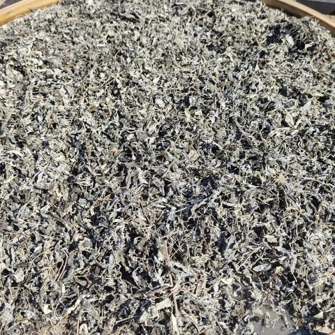 九姊妹莓茶正品老叶茶农家土特产长寿茶土家甘露咽喉养生茶张家界