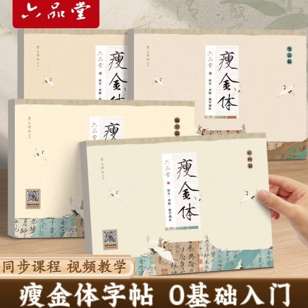 初学入门初学临摹瘦偏旁结构教学体训练金专用练字帖软笔书法套装