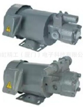 亚隆AMTP-216HAVB齿轮泵