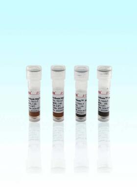 琼脂糖氨基磁珠(10-3μm) 海狸Beaver 5 mL 20%(v/v)70213P-5