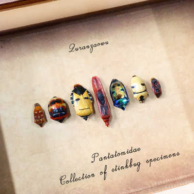 人面蝽标本装饰画真昆虫摆件手工艺品收藏送创意礼物7寸复古画框
