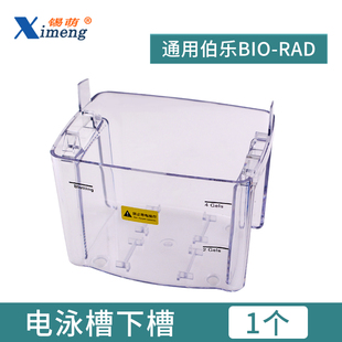 国产WB小型转印电泳槽 蛋白转印槽转印电极芯上盖下槽冰盒海 湿转