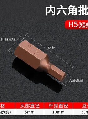 六角梅花批头t30内6花键12角梅花星匙旋具套筒m10单支汽修工具t40