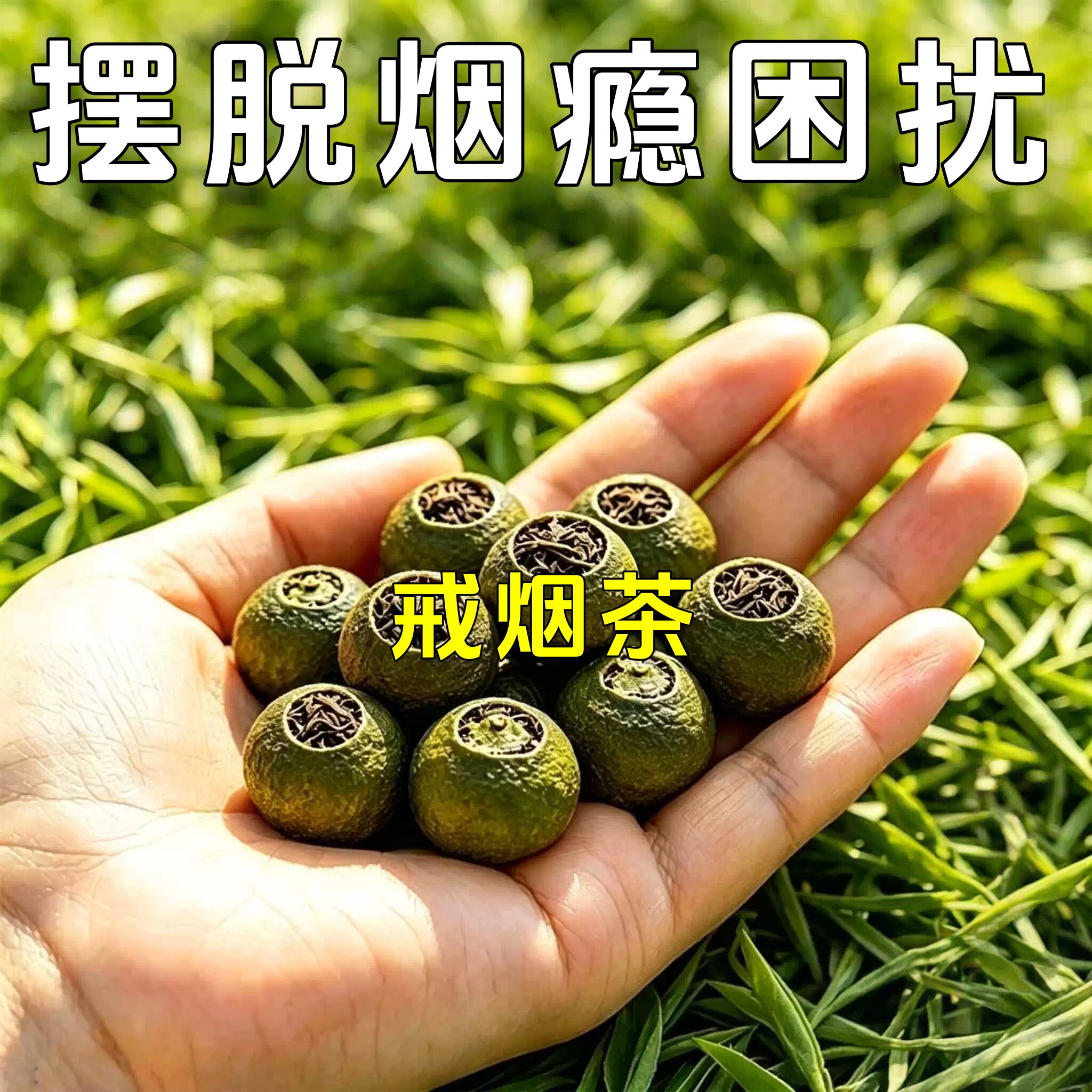 【烟瘾难耐】男女菊花决明子薄荷养生茶