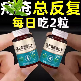 【痔内疮外疮混合】大便疼痛菊花突出长年有庤蒲公英郁李仁片