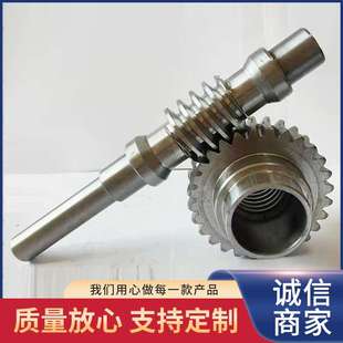 减速电机涡轮蜗杆 升降机蜗轮蜗杆 双导程蜗轮蜗杆加工非标件