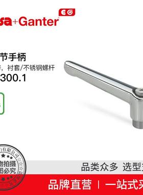 Elesa Ganter伊莉莎冈特 GN 300.1 可调节手柄压铸锌（8）