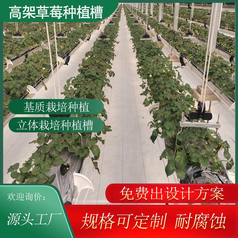 基质无土栽培高架种植槽草莓种植箱大棚基质种植槽立体蔬菜种植槽
