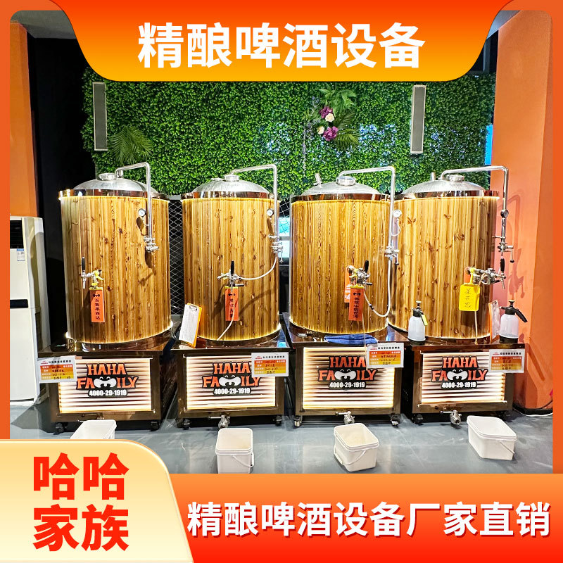 精酿啤酒生产设备 精酿家用酿造机械 小型生产啤酒机械 送配方