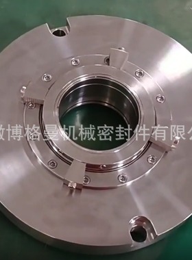 135TSBII -J机械密封ZD135II机械密封 金属波纹管机械密封  质保