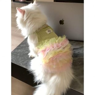 防布偶新款 背心 猫咪衣服毛吊带金渐层掉宠物薄款 夏日公主裙洋装