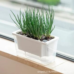 长条霍伦塑料花盆盆神器家庭阳台专用箱种菜盆长方形台窗草莓种植