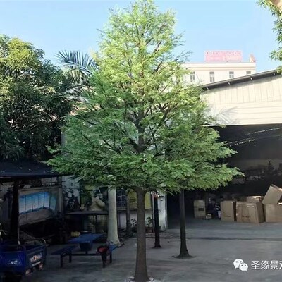 仿真落羽杉树f红豆杉树大型假杉树定制假水杉树博物馆展馆装饰造