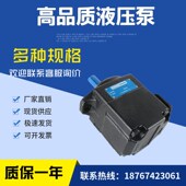 法国丹尼森 T6C0062R00C1 2r00c1 丹尼森i叶片泵t6c 006