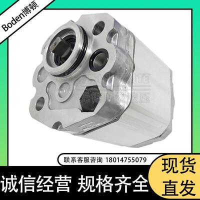 Boden博顿风力发电刹车齿轮泵 物流搬运车油泵BKP1Q0S2.1G0L1-B