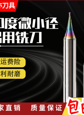 安亦60度钨钢微小径七彩铝用钨钢铣刀D0.1-0.9平刀 R0.1-0.45球刀