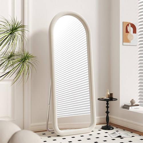 家用ins风全身镜女生卧室女生卧室网红落地镜挂墙化妆异形镜子