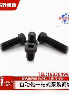 CBSSTH/CBSST/CBSH/CBS/CBSST3/4/5/6/8-4/5/6/8/10/12内六角螺栓