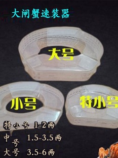 器河蟹卡扣免捆扎棉绳塑料盒大闸蟹速 盒螃蟹速装 大闸蟹速装 新品