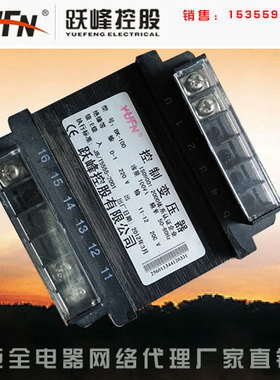 跃峰 控股 控制变压器 BK-100 100VA 380220 可做其它电压 BK-50