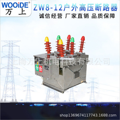 ZW8-12/630户外高压智能真空断路器10KV分界开关柱上看门狗