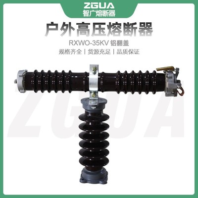 智广户外高压限流熔断器RXWO-35KV/0.5A1可卸式T型可换熔管熔断器