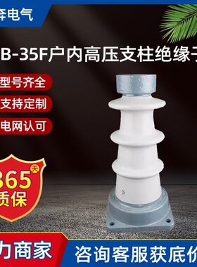 ZB-35F户内高压支柱绝缘子ZA-10Y/ZB-T/ZAW/ZC/ZN陶瓷铜排40.5KV