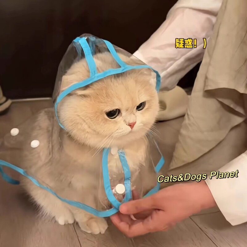 带帽透明斗篷式宠物防水披风猫狗户外遛弯全包防雨专用服饰