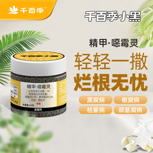 千百季小黑直接撒施轻松防烂根