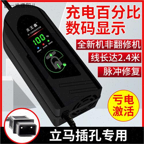 适用立马电动车电瓶充电器48V12A60V20AH72V3a2A40A50A