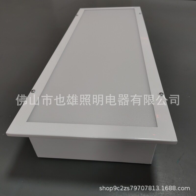 非标不锈钢30*60防水平板灯