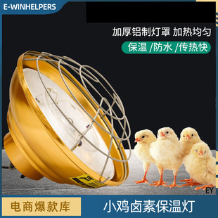 保温灯泡养殖场专用卤素保温灯猪用仔猪育雏鸡节能灯可调温带灯罩