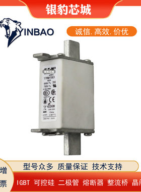 170M1558 170M1559 170M1560 170M1561 170M1562全新熔断器保险丝