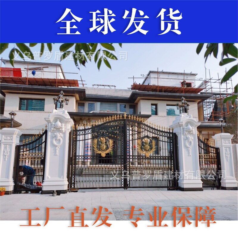 欧式铁艺带小门庭院对开门