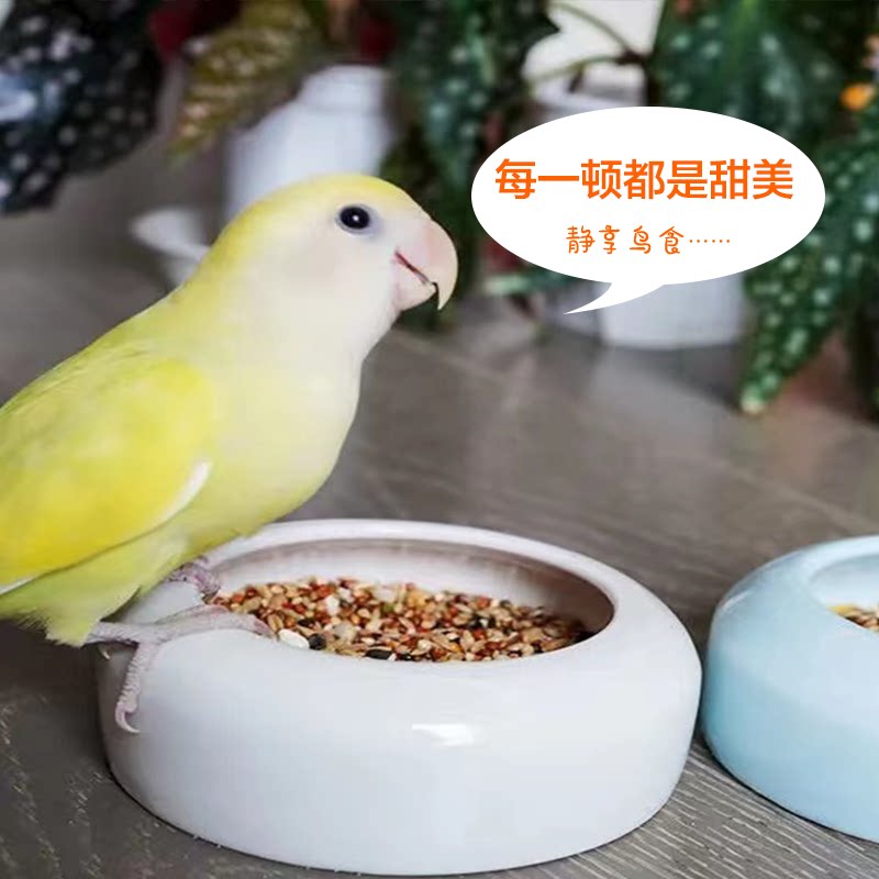 鹦鹉鸽子陶瓷食碗防溅鸟食盒防撒食罐虎皮芦丁鸡食槽喂食器鸟用品