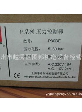 压力控制器P30DE5-30BAR