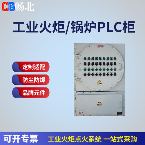 火炬系统用隔爆本安PLC控制柜