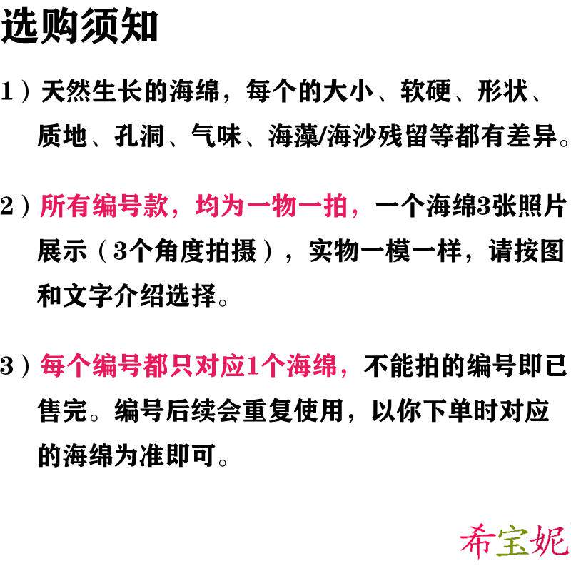 进口希腊天然海藻海绵蜂窝 艺术漆绘画擦色硅藻泥工具 非浴刷