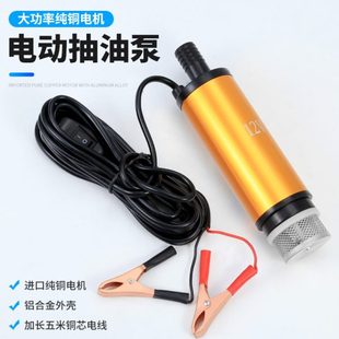 水浇电动船用菜48v农用抽水器抽水泵流60抽水机电瓶车12v直v24v浇