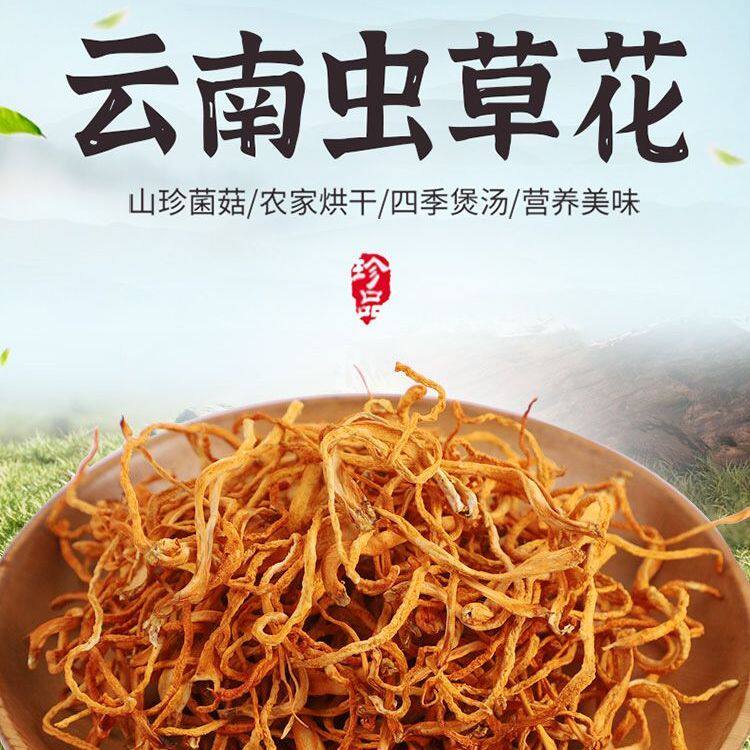云南野生虫草花干货高海拔无污染生长煲汤
