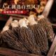 2025年云南头茬新货羊肚菌干货特级营养菌菇类新鲜煲汤野生菌菇类