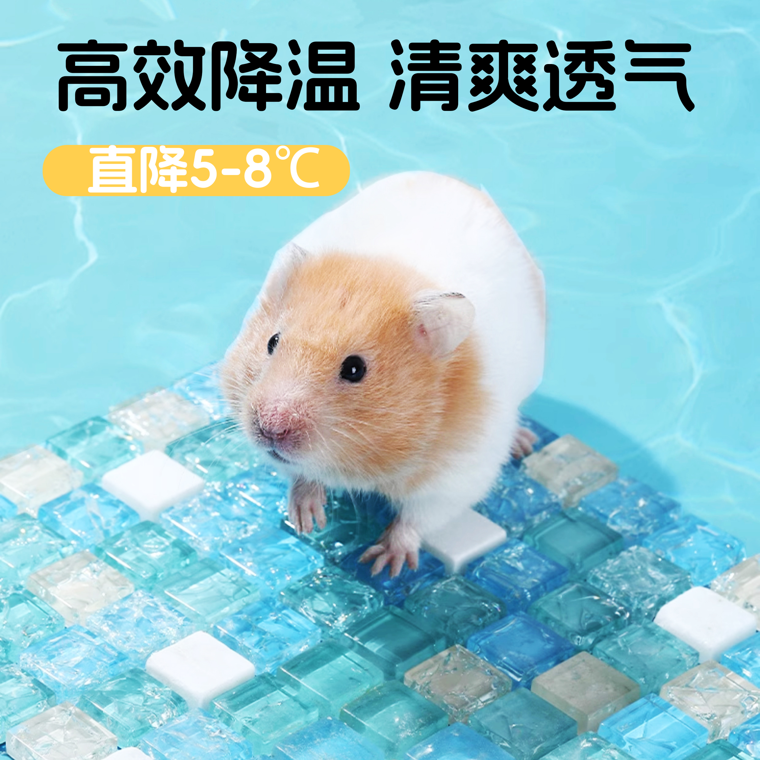 仓鼠用品冰垫夏天降温板神器冰窝