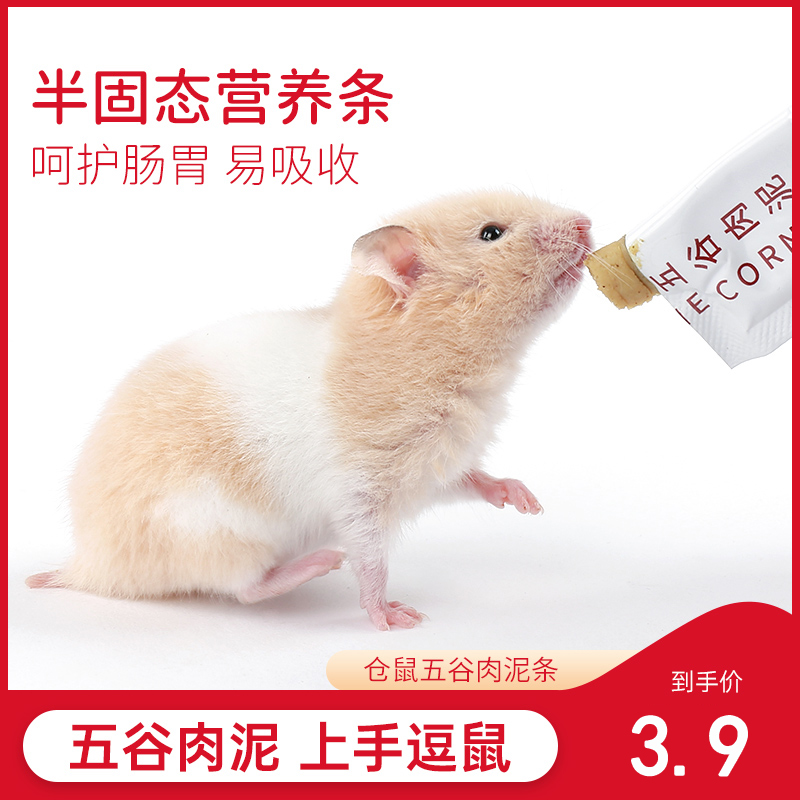 仓鼠零食营养条营养泥糊糊专用营养膏食物