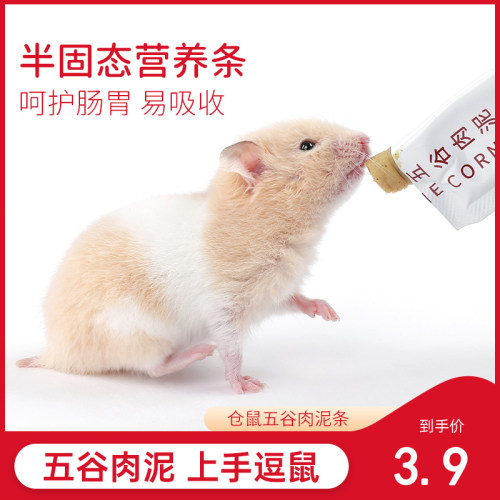 仓鼠零食营养条营养泥糊糊专用营养膏食物