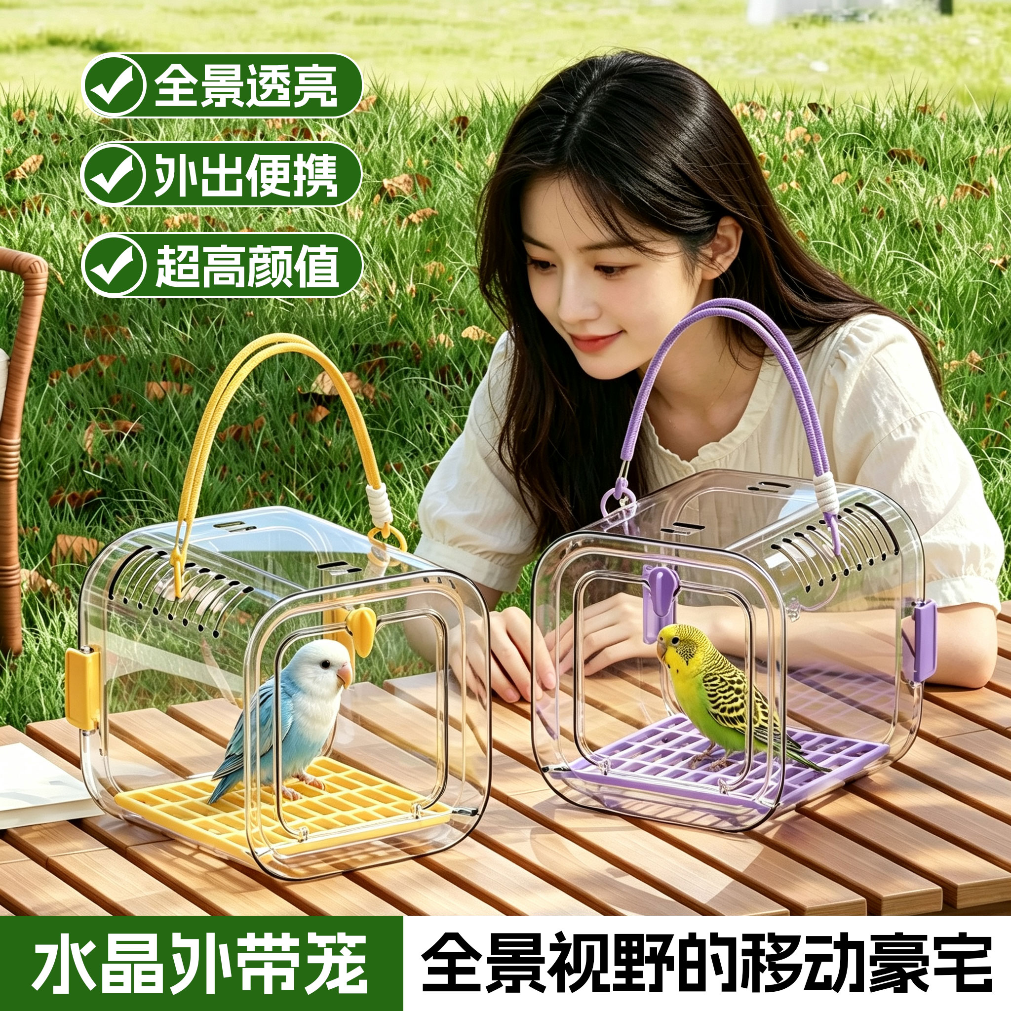 鹦鹉外出笼透明便携鸟笼虎皮牡丹全景外出包外带笼户外可背手提笼