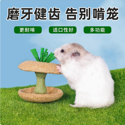 仓鼠零食苹果核磨牙棒用品大全金丝熊专用磨牙玉米食物和小零食饼