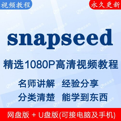 snapseed视频教程全集 下单秒发