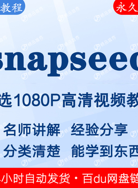 snapseed视频教程全集 下单秒发