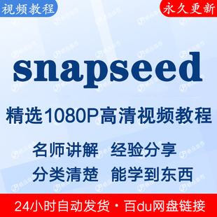 snapseed视频教程全集 下单秒发